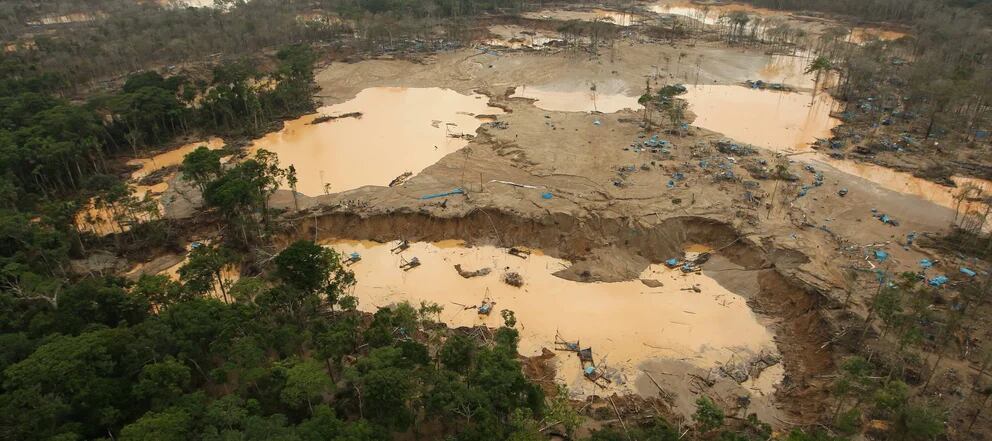 ILLEGAL MINING IN MADRE DE DIOS DESTROYS FORESTS | MINERANDINA