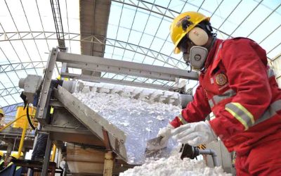 Bolivia: JUEZ ORDENA AL LEGISLATIVO SUSPENDER CONTRATOS DE LITIO