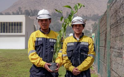 MINAM AWARDS PERU’S SECOND CARBON FOOTPRINT STAR TO CETEMIN